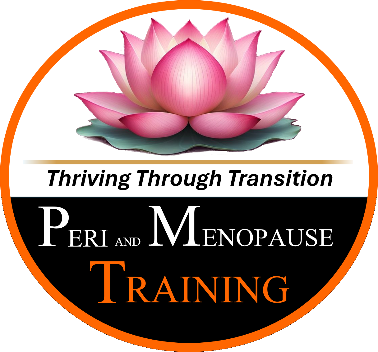 Menopause Training Website - Black and Orange